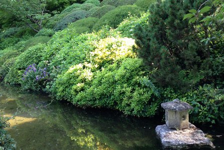 По логике японского сада, формованные кустарники на склоне холма обозначают леса в горах, а прудик – океан.