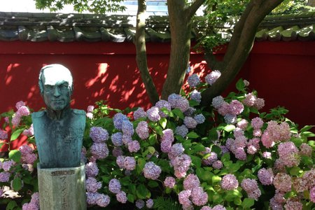 Гортензии в японском садике окружают бюст великого ботаника фон Зибольда, который открыл Европе флору Японии.