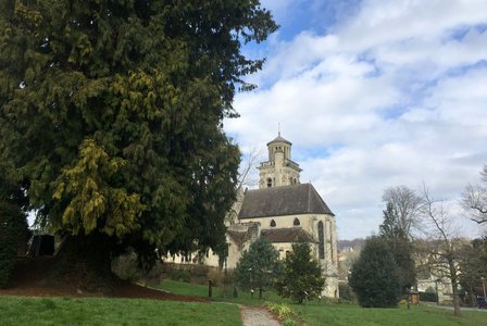Церковь Сен-Сюльпис начали строить в XI веке, а закончили в XX-м. На переднем плане – гигантская туя складчатая.