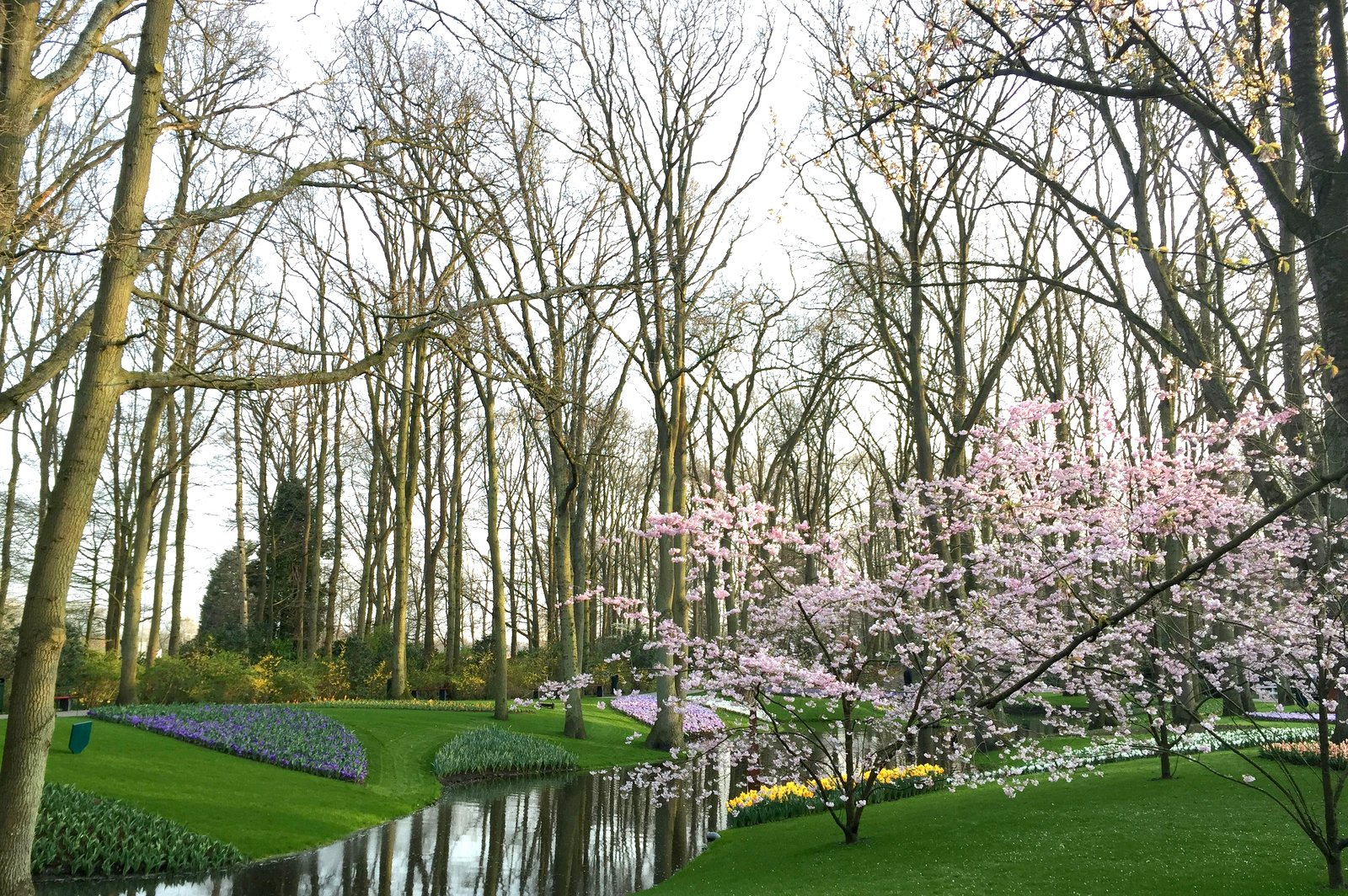 "Кекенхоф" – в переводе "кухонный сад" – на протяжении многих веков был имением различных голландских аристократов, пока в 1949 году здесь не решили устроить показательный парк голландских тюльпановодов. Сейчас здесь ежегодно высаживают до десяти миллионов луковиц.